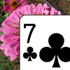 Flower Garden Solitaire - Classic