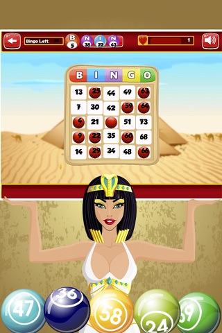 Doge Bingo Pro - Free Bingo Game screenshot 3