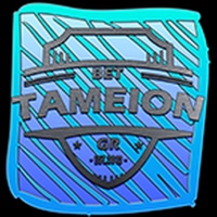 Tameion.gr pour PC