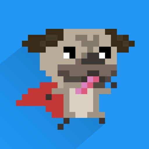 Pixdog : 15 seconds run