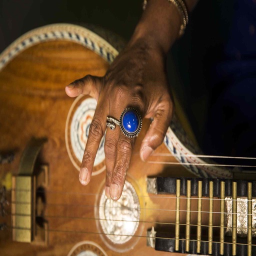 Beautiful Veena Recitals icon