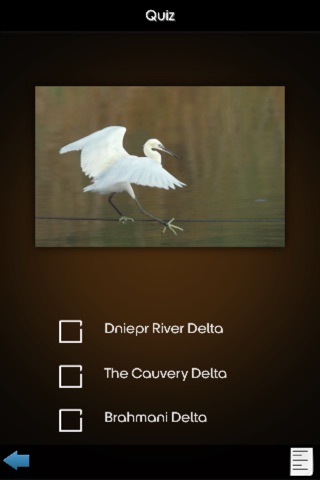 River Deltas Kit screenshot 4