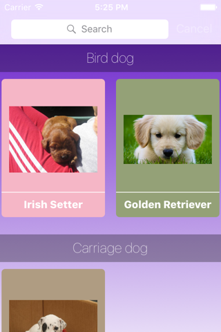Breeds of Puppies screenshot 4