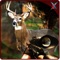 Sniper Animal Hunter 2016 is the best animal hunting game available in app store