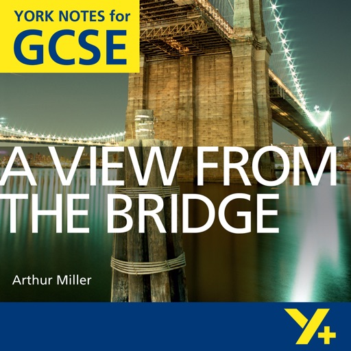 A View from the Bridge York Notes GCSE for iPad icon
