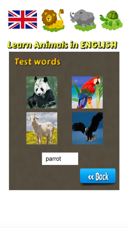 Learn Animals in English Language