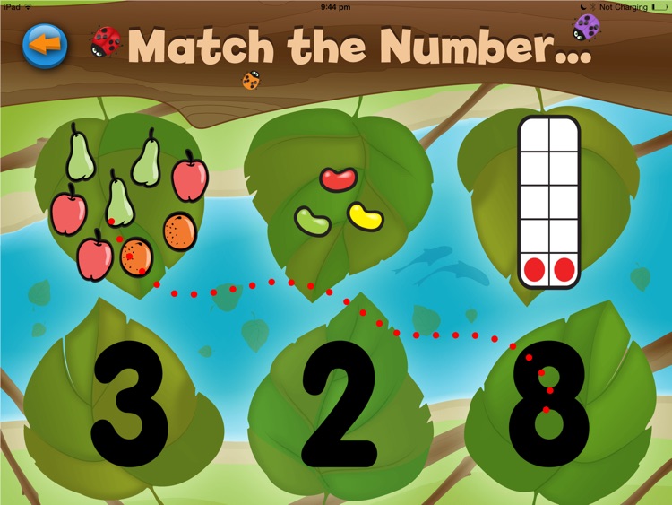 Match The Number Bug