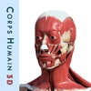 Corps humain 3D : Anatomie Humaine Interactive