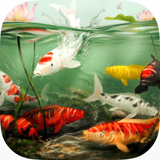 Koi Aqua HD - Real Sim Coral Reef Plants and Live Freshwater Fish Tank Pond & Virtual Tropical Fishes Tour