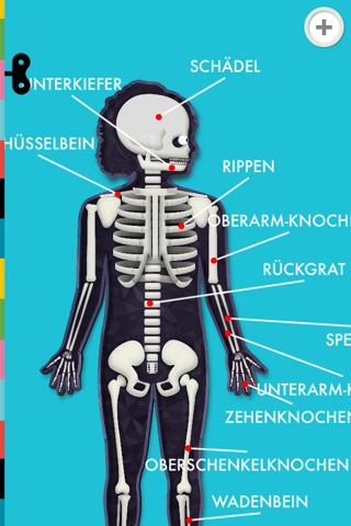 The Human Body by Tinybop screenshot 3