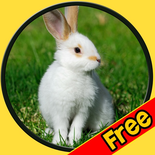 rabbits for small kids - free game icon