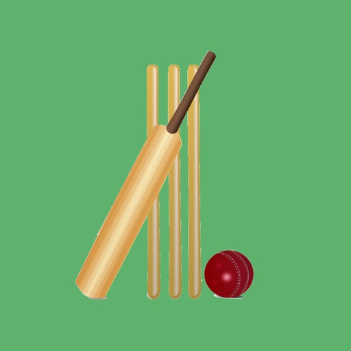 Cricket Toss Icon