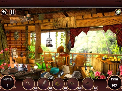【图】Hidden Objects : Kingdom Conspiracy(截图3)