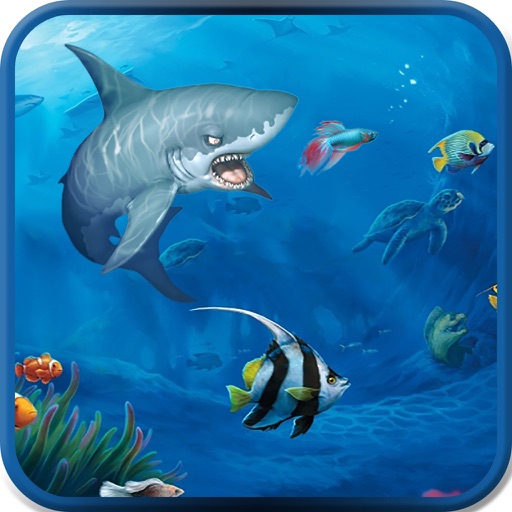 Feed the Fish - Pro iOS App