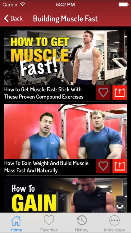 Muscle Building Guide - How To Build Muscle