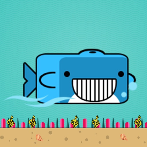 Whale Splash - Splish Fun Game Icon