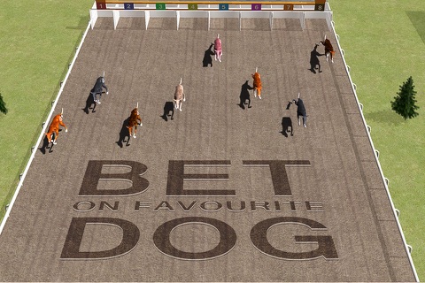 Virtual Dog Racing Championship 3D - Real derby sport simulation game screenshot 2