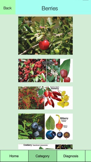 Edible Plant Guide(圖2)-速報App