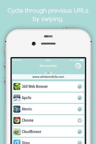 BrowserHub - multi-browser launcher screenshot 3