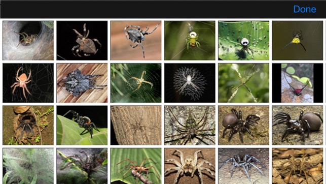 Spiders eGuide(圖5)-速報App