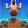 Get Cliff Diving 3D for iOS, iPhone, iPad Aso Report
