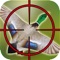 Duck Hunting: Angry Shooting Game
