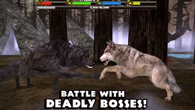 Ultimate Wolf Simulator(圖5)-速報App