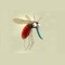 iHateMosquito -  蚊キラー