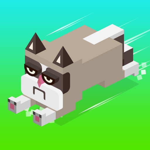 Grump Cat Cross The Road By Cao Van Hung