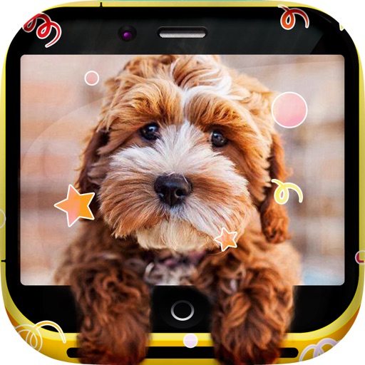 Puppy Cute Gallery HD - Retina Wallpapers , Themes and Dog Backgrounds icon