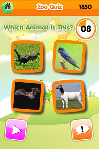 Zoo Quiz (Game) screenshot 4