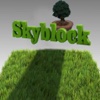 Skyblock : Survival Mini Game with 3D blocks