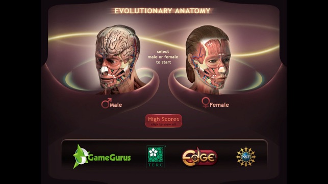 Evolutionary Anatomy(圖5)-速報App