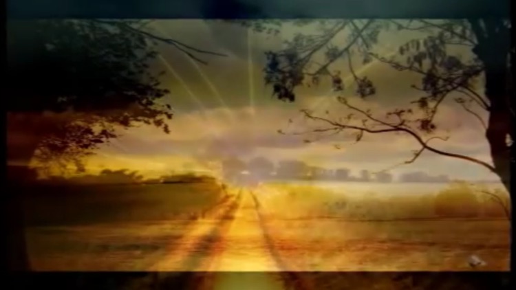 Reiki Music screenshot-3