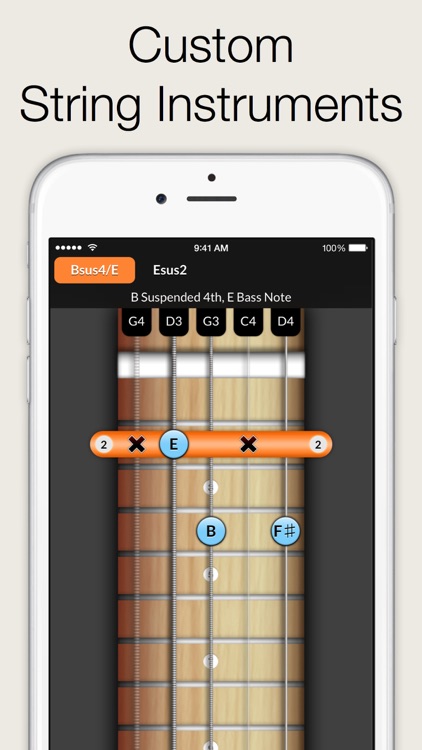 Reverse Chord Finder Pro - Inverse Chord Dictionary for Songwriters, Musicians, Composers and Music Students screenshot-3