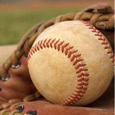 Activities of Baseball Word Search FREE