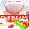 Pregnancy Diet Plan - High Protein Diet During Pregnancy