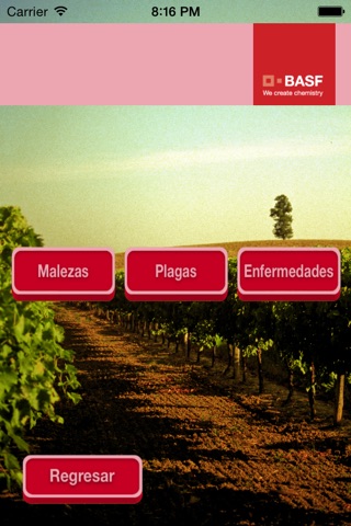 BASF México - Cultivo de la Uva screenshot 2
