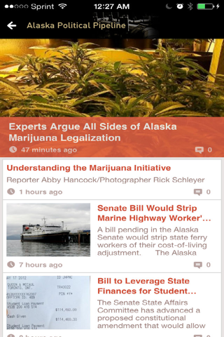 Alaska Political Pipeline screenshot 3