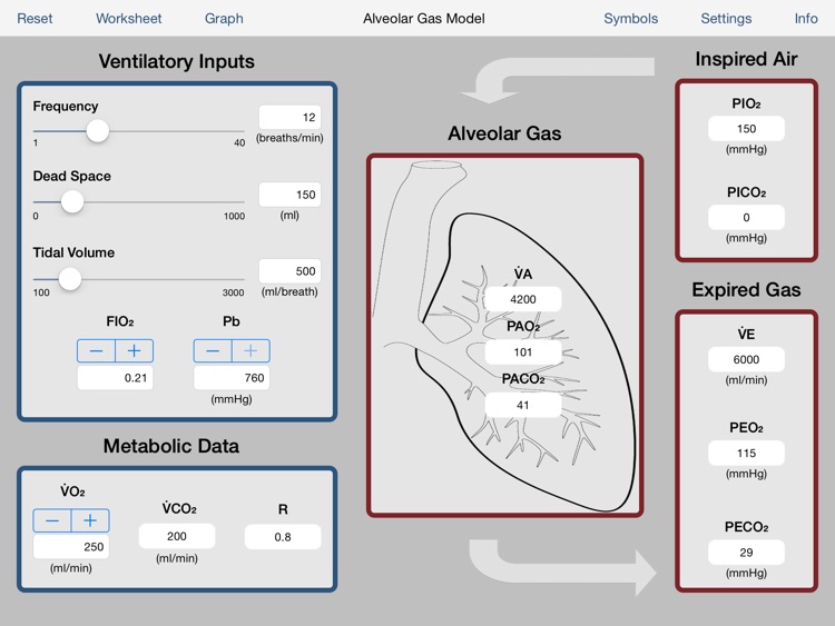 Alveolar Gas