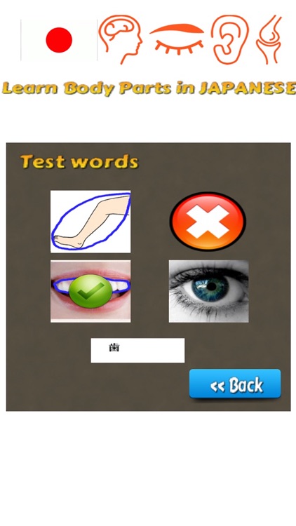 Learn Body Parts in Japanese screenshot-3