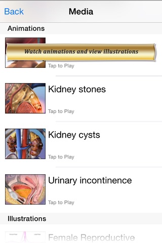 Reproductive and Urinary Anatomy Atlas: Essential Reference for Students and Healthcare Professionals screenshot 4