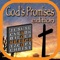 God’s Promises Word Search is a challenging and entertaining word search game built around the struggles of life and healing word of God