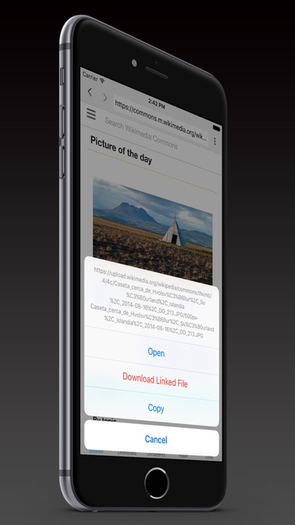 Downloads Plus - Downloader Manager for Free