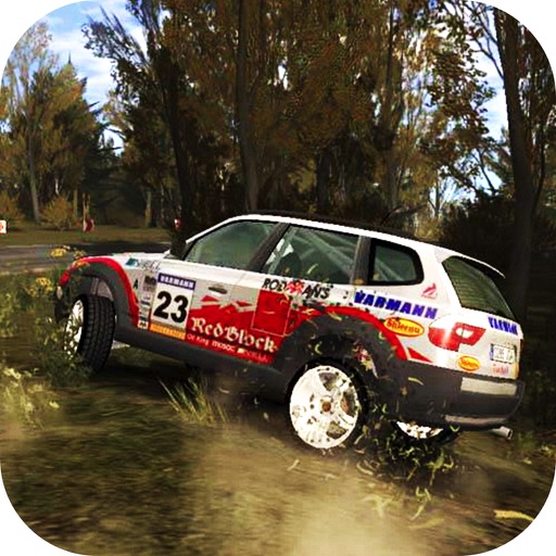 Rally Cross icon