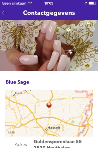 Blue Sage screenshot 4