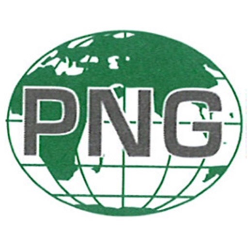 PNG Construction icon