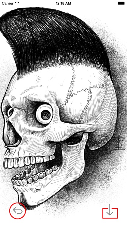 Skull Art Theme HD Wallpaper and Best Inspirational Quotes Backgrounds Creator