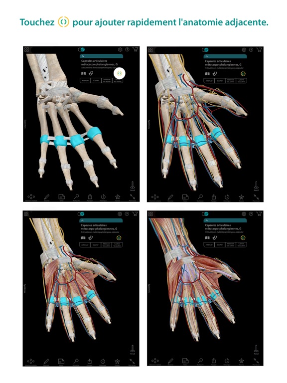 TÉLÉCHARGER ANATOMIE ET PHYSIOLOGIE HUMAINE V8 ANATOMIE HUMAINE V8 TÉLÉCHARGER ET PHYSIOLOGIE