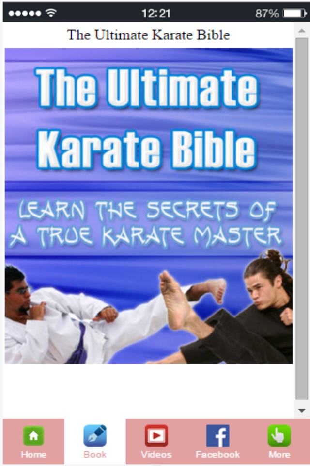 Karate Lessons - Learn How To Improve Your Karate Technique screenshot 4